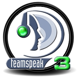 Buy a Teamspeak 3 server  Tendonsie Services Comm. V.